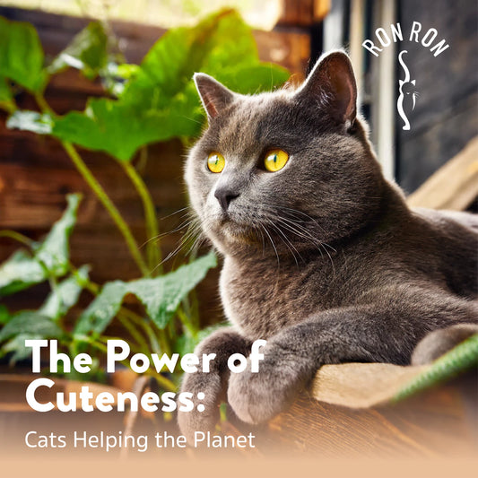 The Power of Cuteness: Cats Helping the Planet